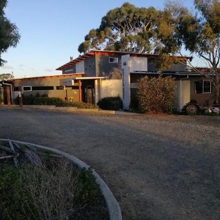 Swansea Backpacker Lodge Exterior photo